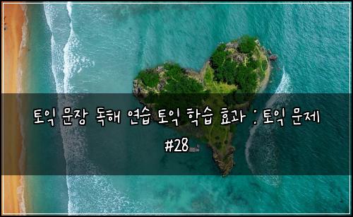 토익 문장 독해 연습 토익 학습 효과 : 토익 문제 #28