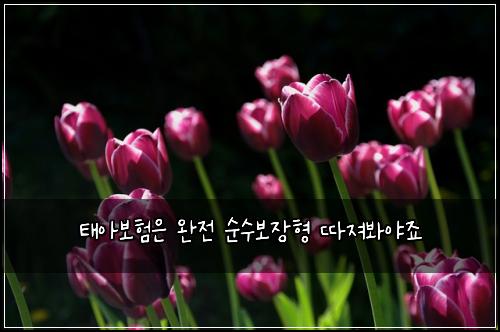 ํ์๋ณดํ์ ์์ ์์๋ณด์ฅํ ๋ฐ์ ธ๋ด์ผ์ฃ