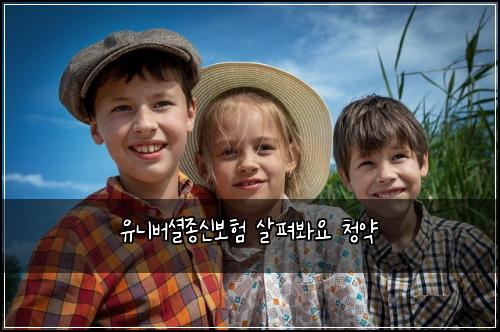 유니버셜종신보험 살펴봐요  청약