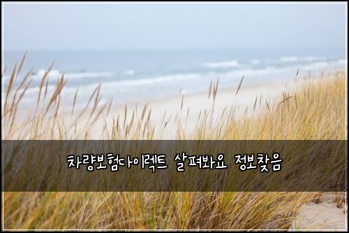 차량보험다이렉트 살펴봐요 정보찾음