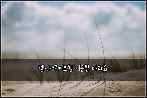 ์ ์ง์ด๋ฆฐ์ด๋ณดํ ์ด์ฉํ ๋ฐ๋์