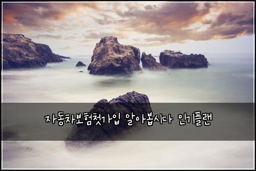 자동차보험첫가입 알아봅시다 인기플랜