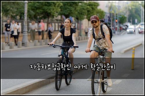 자동차보험금확인 싸게 확실한준비