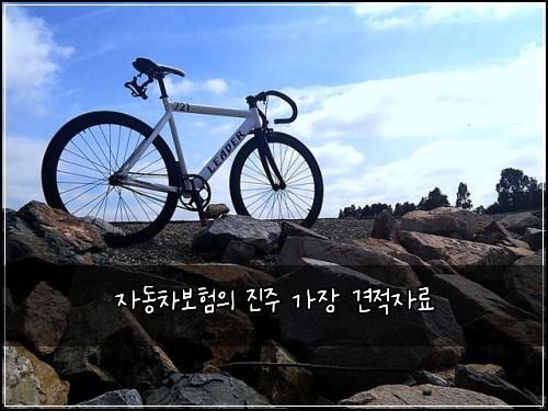 자동차보험의 진주 가장 견적자료