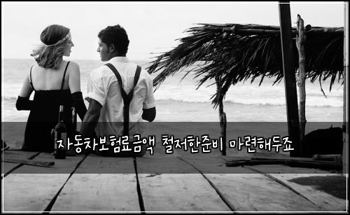 자동차보험료금액 철저한준비 마련해두죠