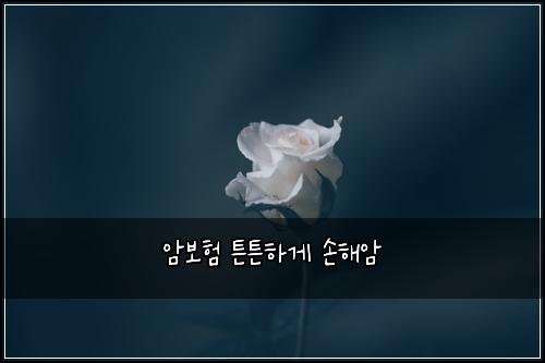 암보험 튼튼하게  손해암