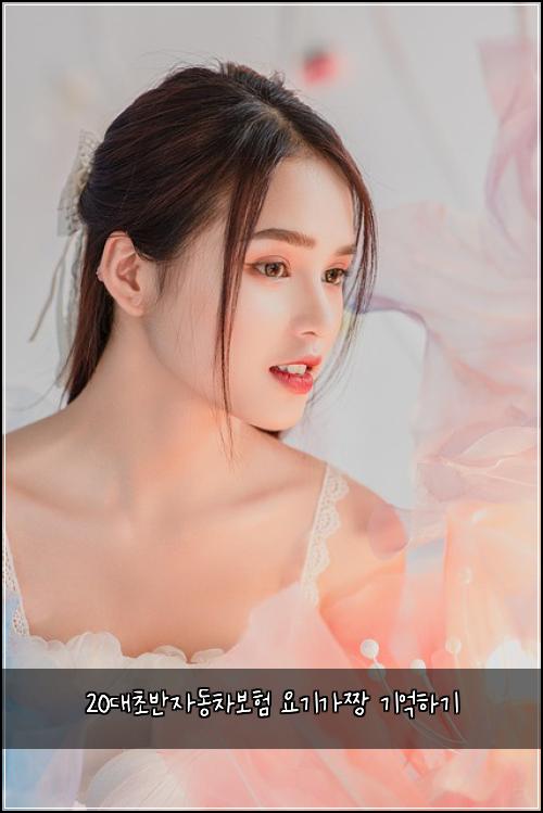 20대초반자동차보험 요기가짱  기억하기