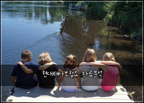 현대태아보험요 자료분석
