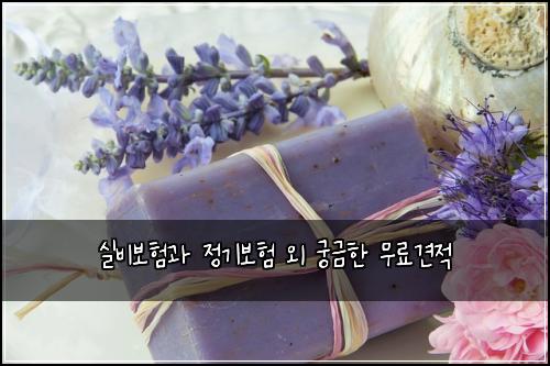 실비보험과 정기보험 외 궁금한 무료견적