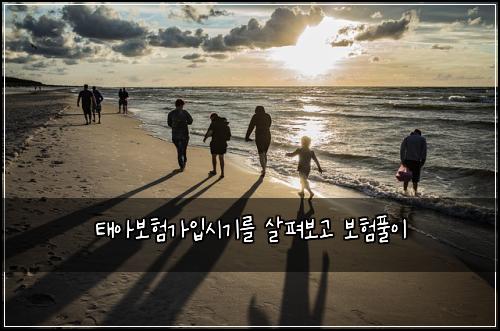 태아보험가입시기를 살펴보고 보험풀이