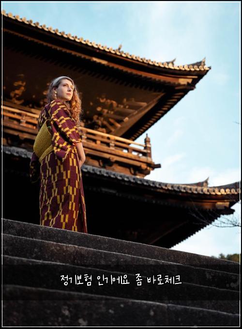 정기보험 인기에요  좀 바로체크
