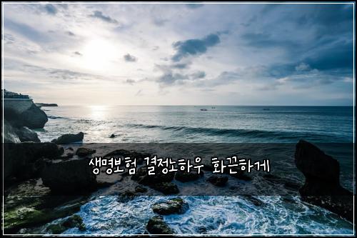 생명보험 결정노하우  화끈하게