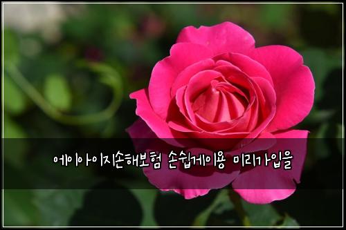 에이아이지손해보험 손쉽게이용  미리가입을