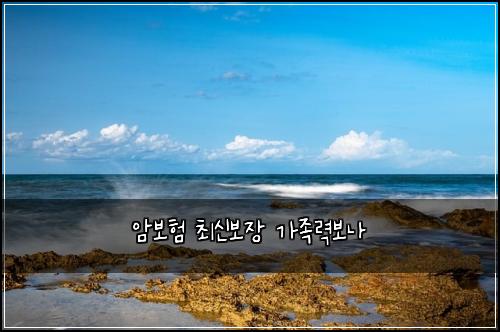 암보험 최신보장  가족력보나