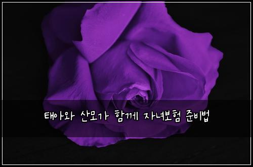 태아와 산모가 함께 자녀보험 준비법 