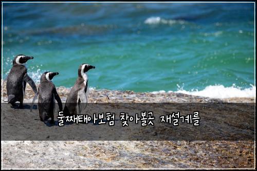 ๋์งธํ์๋ณดํ ์ฐพ์๋ณผ๊ณณ ์ฌ์ค๊ณ๋ฅผ