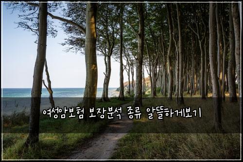 여성암보험 보장분석  종류 알뜰하게보기