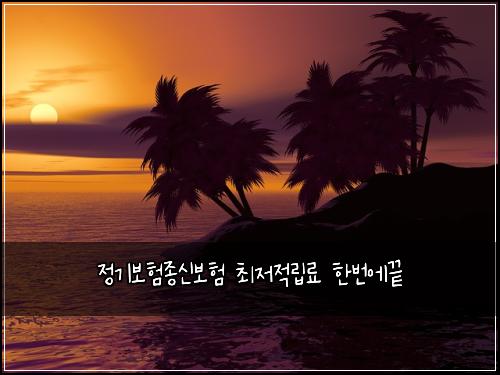 정기보험종신보험 최저적립료 한번에끝