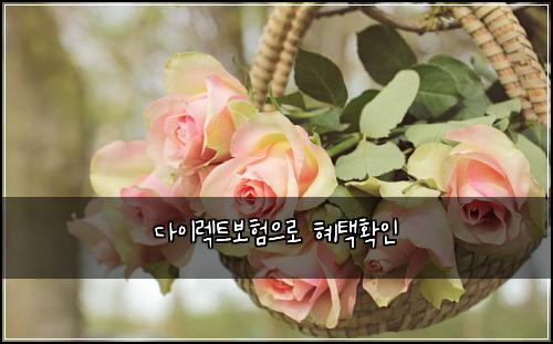 다이렉트보험으로 혜택확인