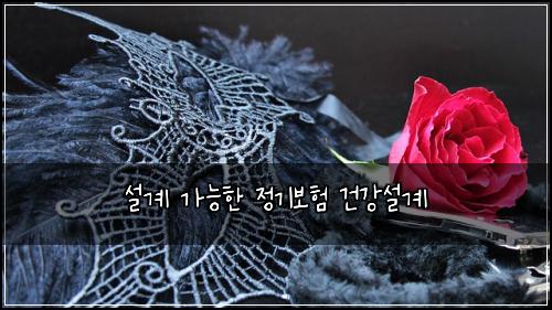 설계 가능한 정기보험 건강설계 