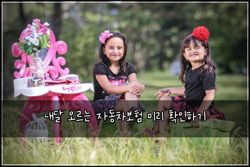 내달 오르는 자동차보험 미리 확인하기