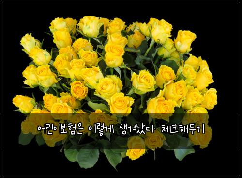 어린이보험은 이렇게 생겨났다 체크해두기