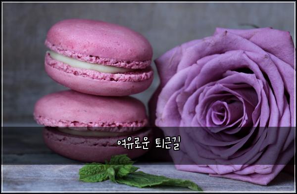 ์ฌ์ ๋ก์ด ํด๊ทผ๊ธธ