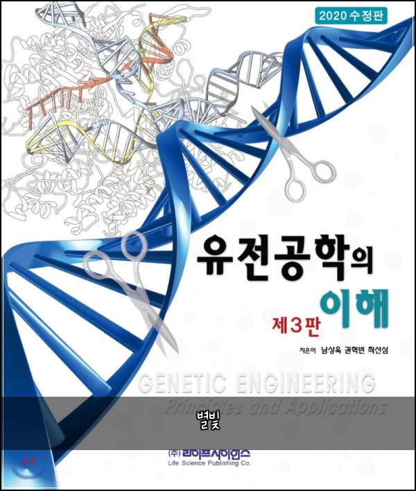 별빛