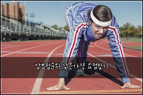 암보험순위 낮은가격 요점찾기