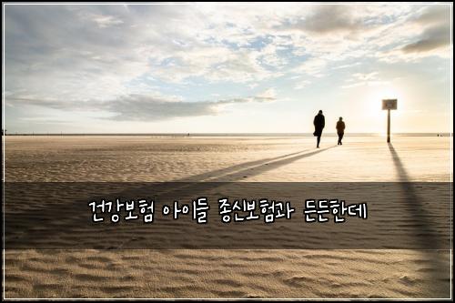 건강보험 아이들 종신보험과 든든한데