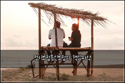 정기보험종신보험의 핵심파악