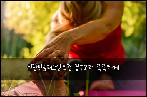 신한빅플러스암보험 필수고려  똑똑하게