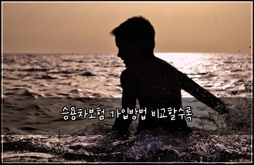 승용차보험 가입방법  비교할수록
