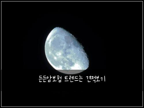 ๋ ๋ ์๋ณดํ ํธ๋ ๋๋ ๊ฒฌ์ ๋ณด๊ธฐ