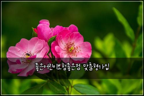 좋은어린이보험좋은점 맞춤형가입