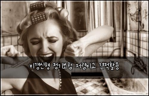 ๋น๊ฐฑ์ ํ ์ ๊ธฐ๋ณดํ ์ ๋ ด๋น๊ต ๊ฒฌ์ ํ์ฉ
