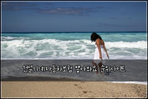 건설기계자동차보험 뽑아봐요  순위사이트