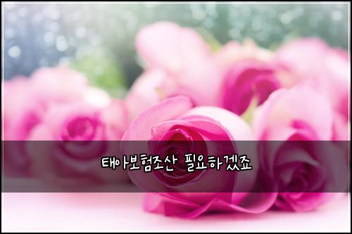 태아보험조산 필요하겠죠