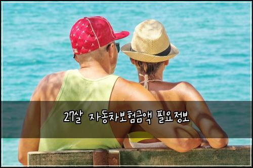 27살 자동차보험금액 필요정보