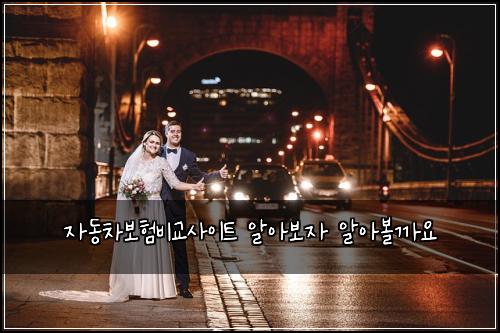 자동차보험비교사이트 알아보자 알아볼까요