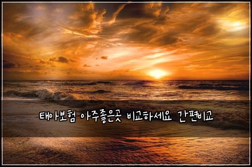 태아보험 아주좋은곳  비교하세요 간편비교