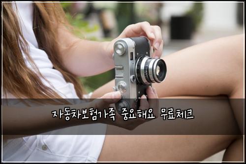 ์๋์ฐจ๋ณดํ๊ฐ์กฑ ์ค์ํด์ ๋ฌด๋ฃ์ฒดํฌ