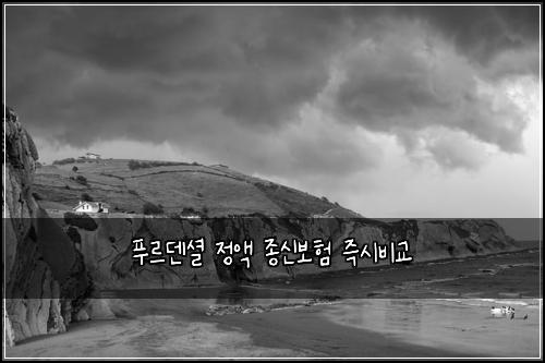 푸르덴셜 정액 종신보험 즉시비교 