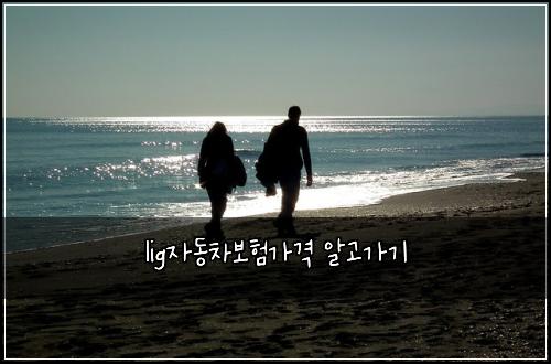 ligμλ차보νκ°κ²© μκ³ κ°κΈ°
