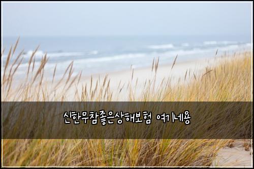 신한무참좋은상해보험 여기네용 