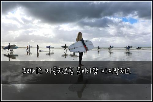 그레이스 자동차보험 준비바람  마지막체크
