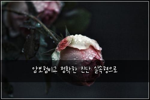 암보험비교 정확한 진단 실속형으로