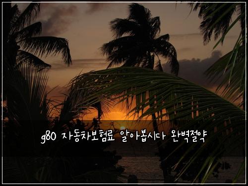 g80 ์๋์ฐจ๋ณดํ๋ฃ ์์๋ด
์๋ค ์๋ฒฝ์ ์ฝ