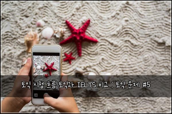 ν μ΅ μν νλ¦ ν μ΅κ³Ό IELTS λΉκ΅ : ν μ΅ λ¬Έμ #5