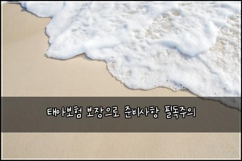 태아보험 보장으로  준비사항 필독주의